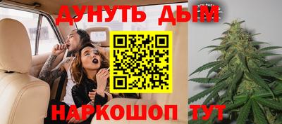 индика Кандалакша