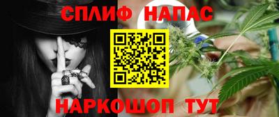 индика Кандалакша