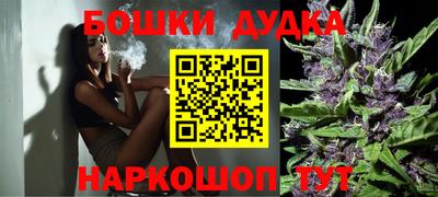 индика Кандалакша