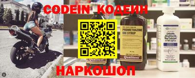 СК Канаш
