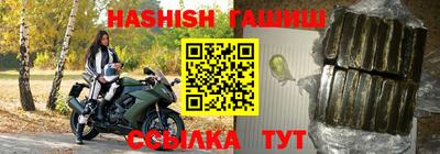 индика Кандалакша